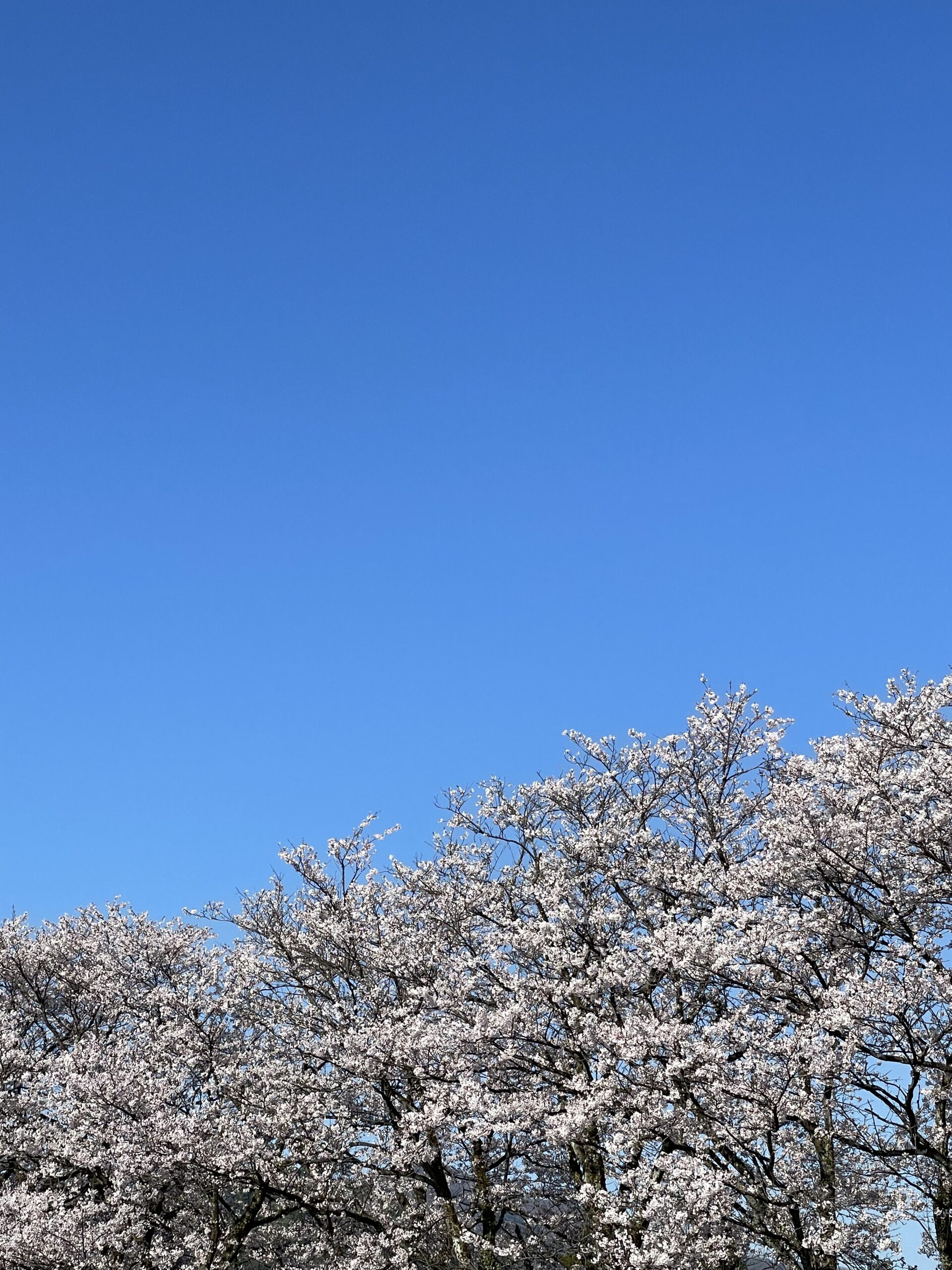 笑う門には福来る